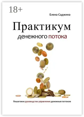 Практикум денежного потока. Пошаговое руководство управления денежным потоком