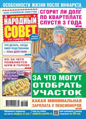Народный совет №48/2024