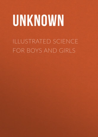 Illustrated Science for Boys and Girls