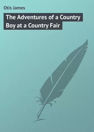 The Adventures of a Country Boy at a Country Fair