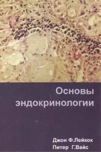 Основы Эндокринологии
