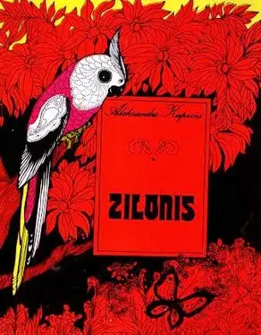 Zilonis