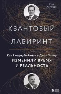 Квантовый лабиринт. Как Ричард Фейнман и Джон Уилер изменили время и реальность [litres]