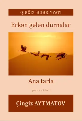 Erkən gələn durnalar, Ana tarla
