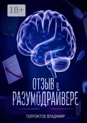 Отзыв о разумодрайвере