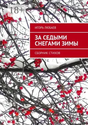 За седыми снегами зимы. Сборник стихов