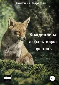 Хождение за асфальтовую пустошь [litres самиздат]