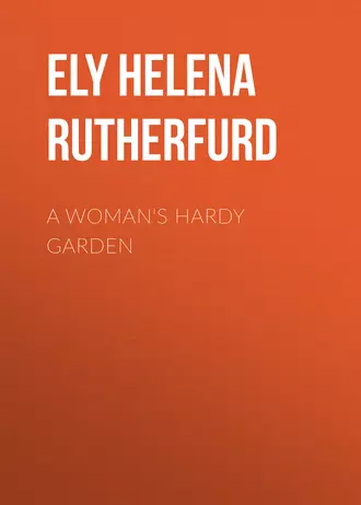 A Woman's Hardy Garden