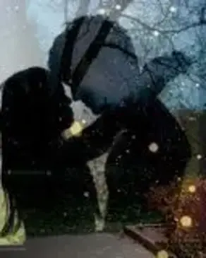 Предлагаю ночью