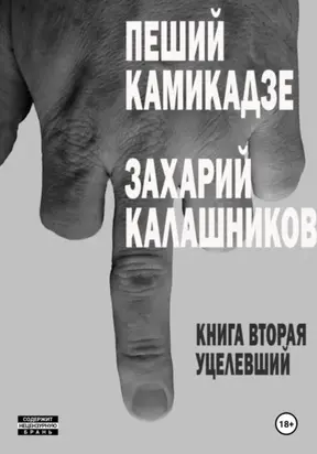 Уцелевший (Пеший камикадзе. Книга вторая)