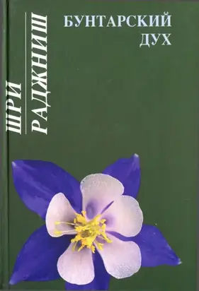 Бунтарский дух