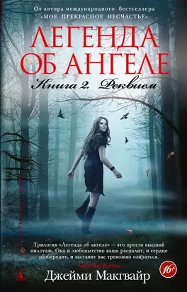 Легенда об ангеле Книга 2 Реквием