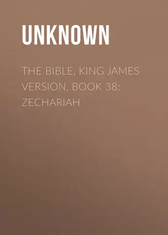 The Bible, King James version, Book 38: Zechariah
