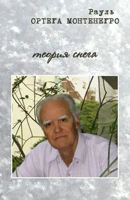 Теория снега