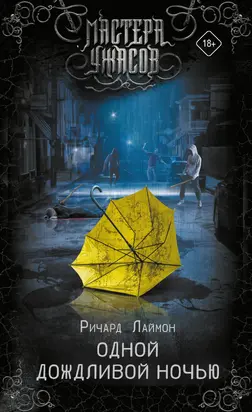 Одной дождливой ночью [litres]