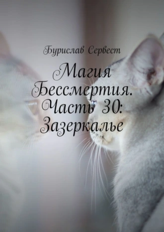 Магия Бессмертия. Часть 30: Зазеркалье