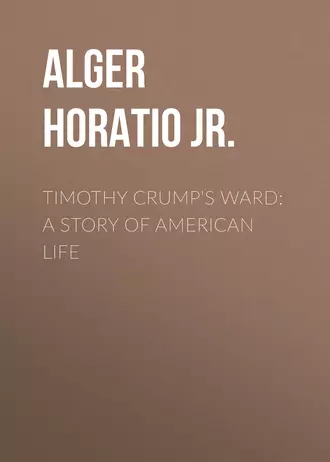Timothy Crump's Ward: A Story of American Life