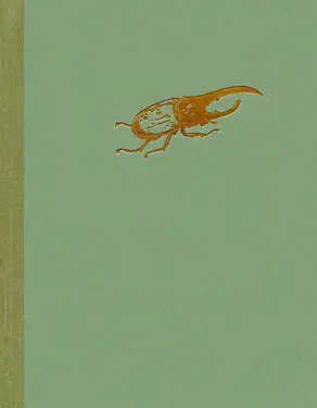 Занимательная зоология. Очерки и рассказы о животных