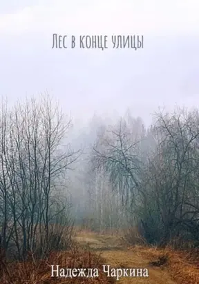 Лес в конце улицы