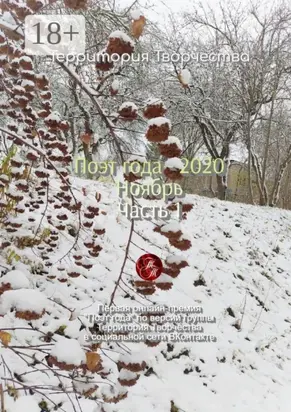 Поэт года – 2020. Ноябрь. Часть 1. Первая онлайн-премия «Поэт года» по версии группы «Территория Творчества» в социальной сети ВКонтакте