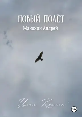 Новый полёт