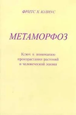 Ключ к пониманию произрастания растений и человеческой жизни