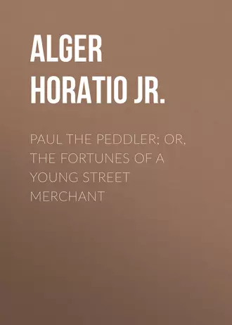 Paul the Peddler; Or, The Fortunes of a Young Street Merchant