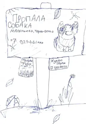Пропала собака…