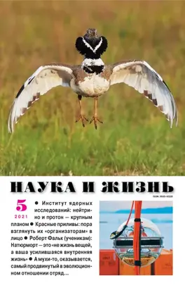 Наука и жизнь №05/2021
