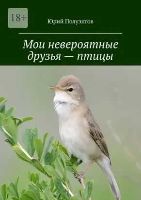 Мои невероятные друзья – птицы