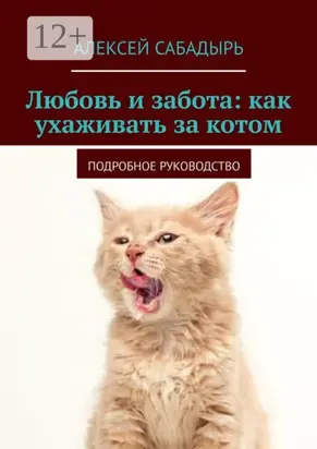 Любовь и забота: как ухаживать за котом. Подробное руководство