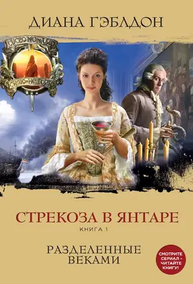 Стрекоза в янтаре. Книга 1. Разделенные веками