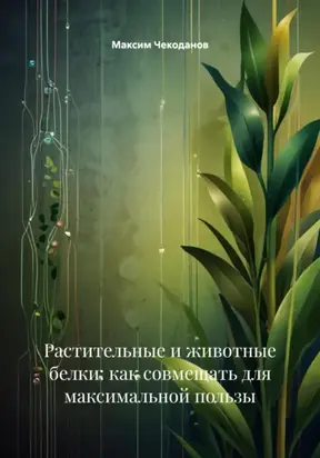 Растительные и животные белки: как совмещать для максимальной пользы