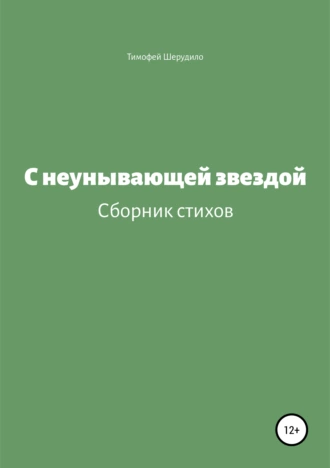 С неунывающей звездой. Сборник стихов