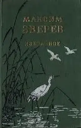 Ущелье барсов