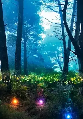 Баламут — 2