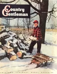 The Clue of the Screaming Woman