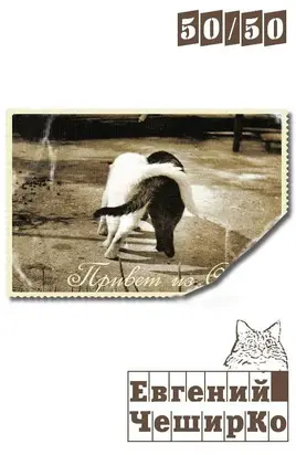 Без названия (6d7bd52d6ab0bbff1c97ad531d234f23)