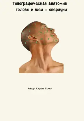 Топографическая анатомия головы и шеи