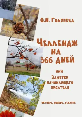 ЧЕЛЛЕНДЖ НА 366 ДНЕЙ. Часть 4. Октябрь, ноябрь, декабрь