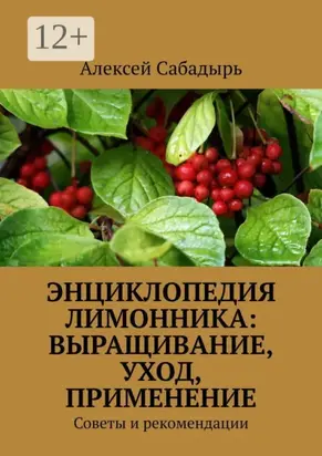 Энциклопедия лимонника: выращивание, уход, применение. Советы и рекомендации