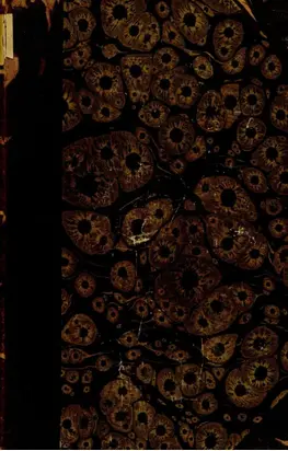 История России с древнейших времен. Книга 5. Том XXI-XXV