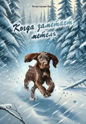 Когда заметает метель