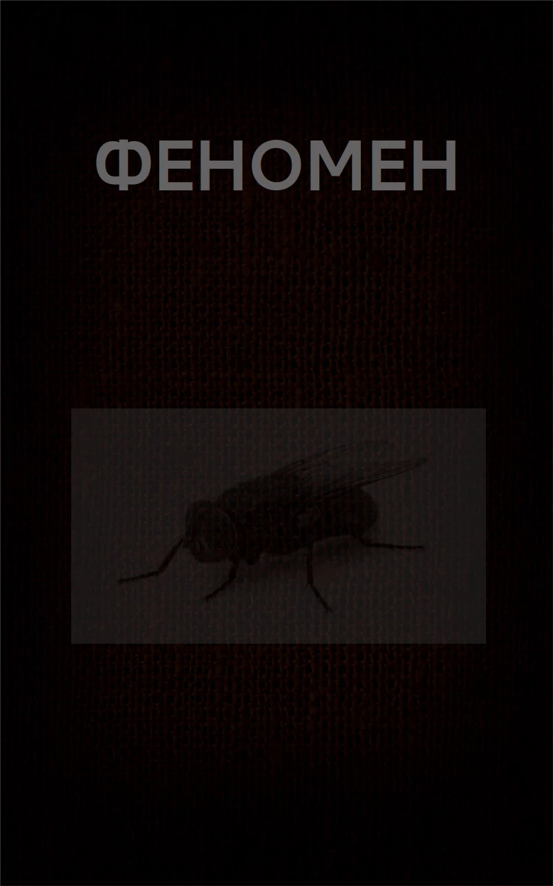 ФЕНОМЕН