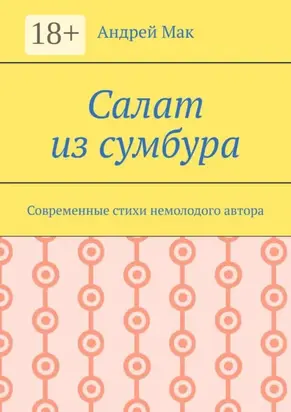 Салат из сумбура. Современные стихи немолодого автора