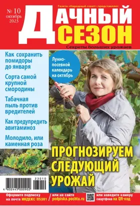 Дачный сезон №10/2023