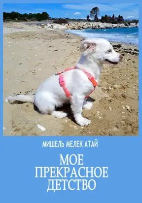 Мое прекрасное детство