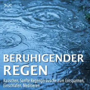 Beruhigender Regen - Rauschen, Sanfte Regengeräusche zum Entspannen, Einschlafen, Meditieren - Naturgeräusche pur, Regentropfen, Leichter Regen, Waldregen, Leichtes Gewitter, Sommerregen, Regen am Abend