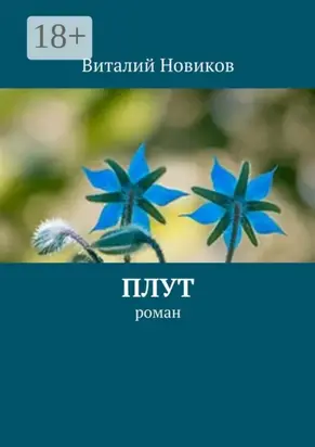 Плут. роман