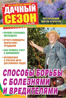 Дачный сезон №06/2020